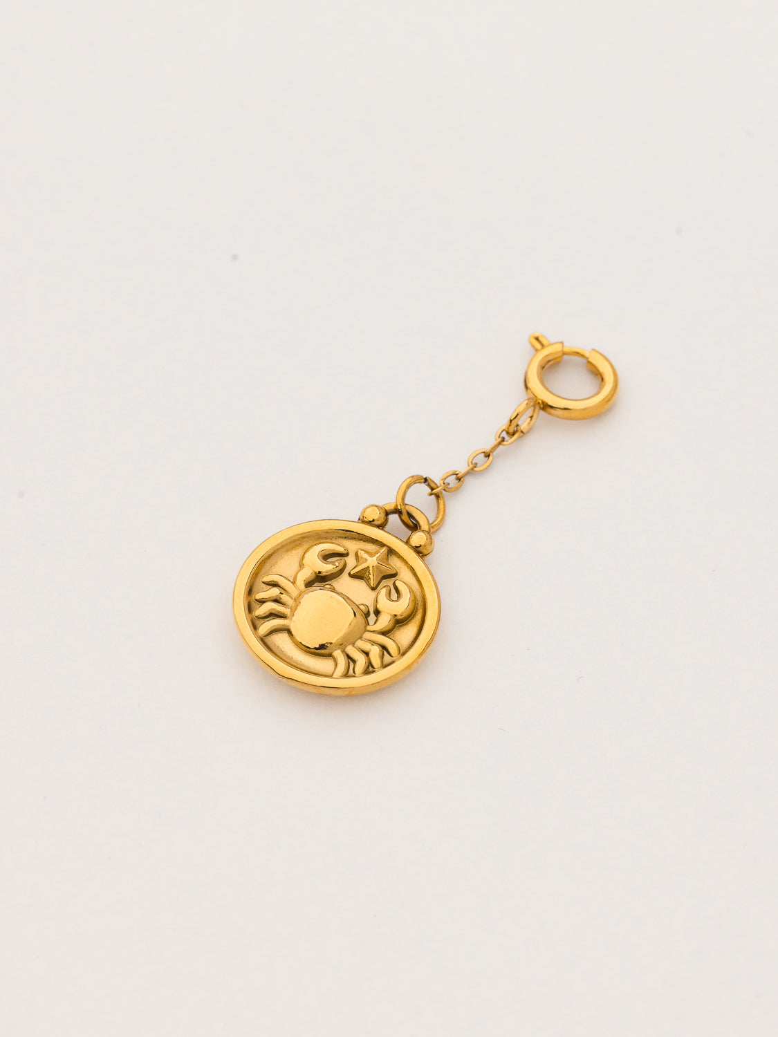 Pendentif astro CANCER